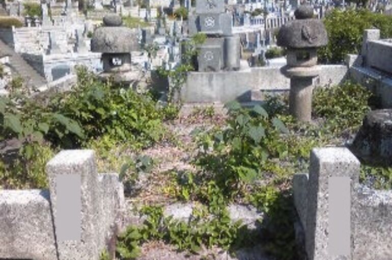 雑草